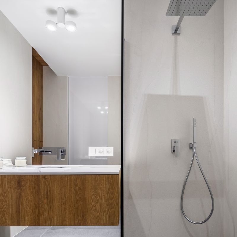 Contemporary Shower Interior